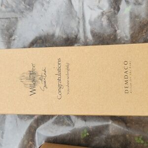 NWT Demdaco Willow Tree Congratulations Figurine